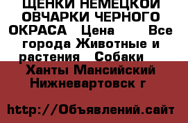 ЩЕНКИ НЕМЕЦКОЙ ОВЧАРКИ ЧЕРНОГО ОКРАСА › Цена ­ 1 - Все города Животные и растения » Собаки   . Ханты-Мансийский,Нижневартовск г.